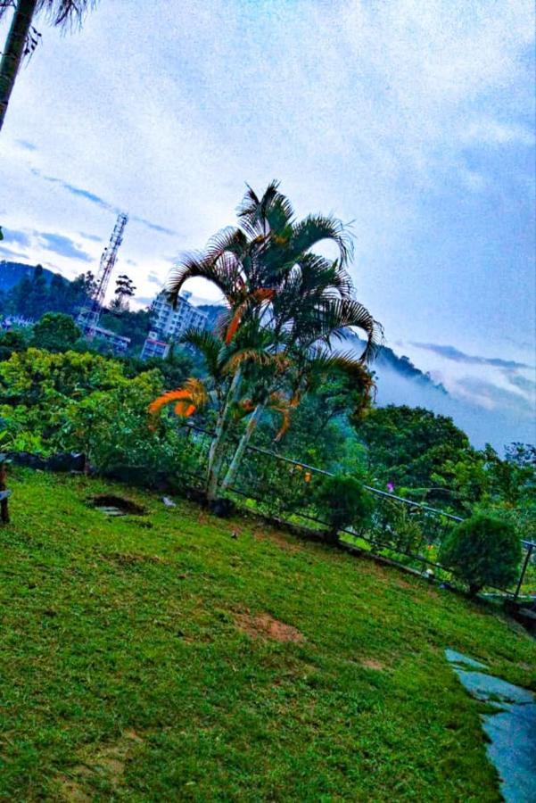 Homestay Heaven